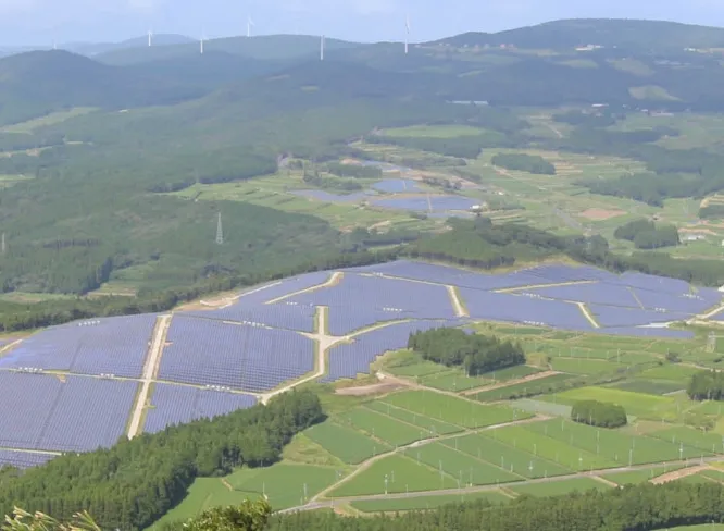 鹿児島県南九州市〈発電出力：24.6MWp〉