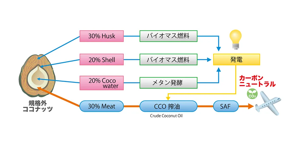 01 世界で初めて規格外ココナッツ由来のSAF事業化に着手