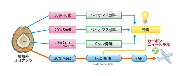 01 世界で初めて規格外ココナッツ由来のSAF事業化に着手