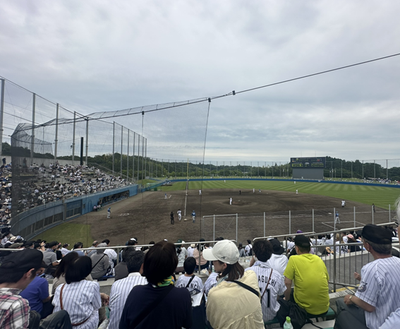野球観戦の写真